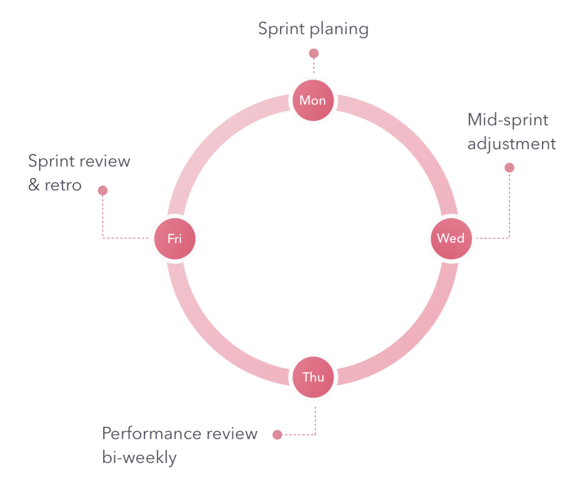 Development Process Flow